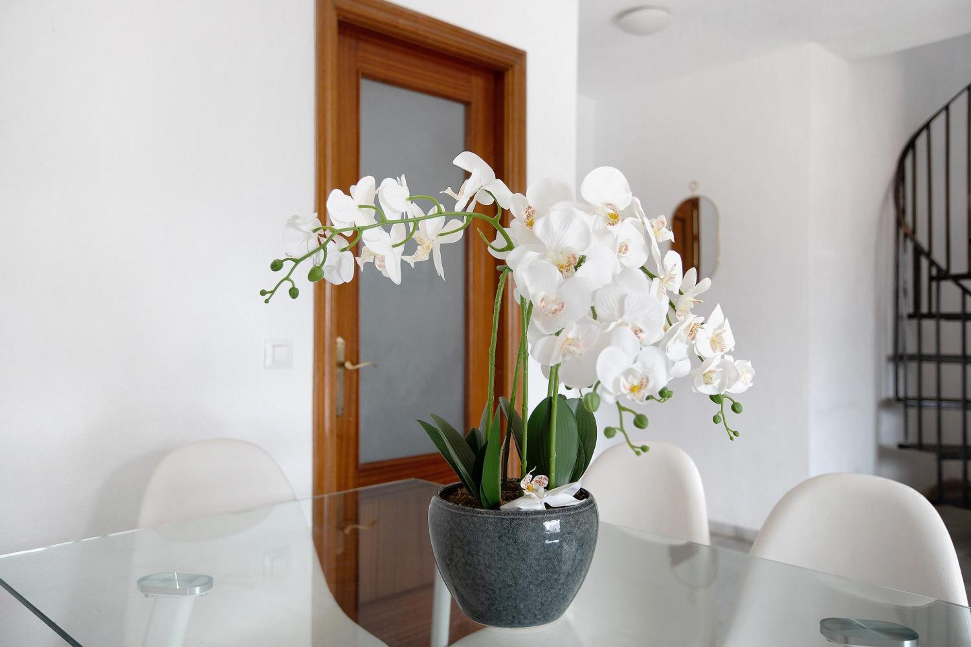 Atico Duplex En Malaga Διαμέρισμα Εξωτερικό φωτογραφία